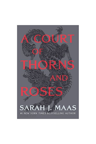 Bloomsbury Publishing A Court Of Thorns And Roses
