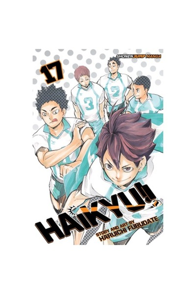 Viz Media Χαϊκιού! !, Τόμος. 17