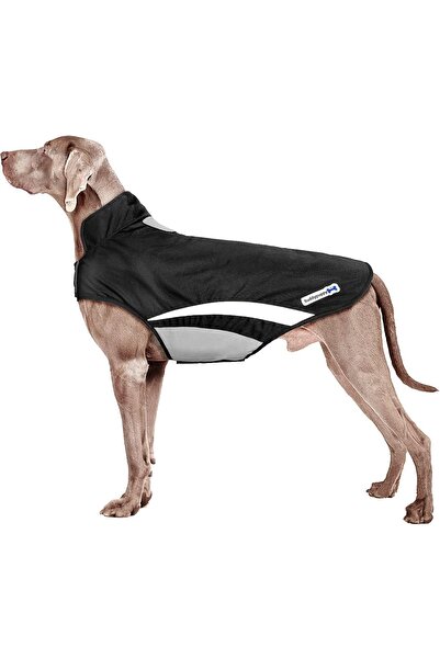 Dotail Buddypuppy Waterproof Dog Jacket, Size L, Fleece Lining, Leash Opening...