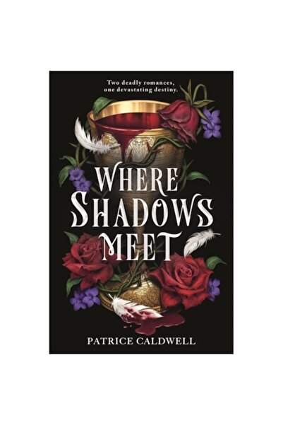 HOT KEY BOOKS Where Shadows Meet