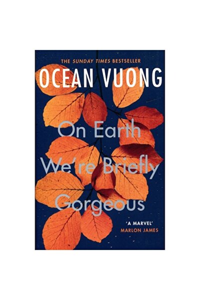 Vintage Publishing On Earth We're Briefly Gorgeous