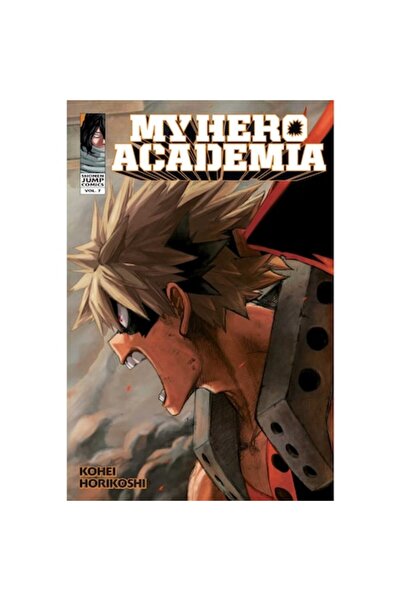 Viz Media Η Ακαδημία Ηρώων μου Τόμος 7