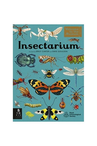 Templar Publishing Insectarium - Dave Goulson