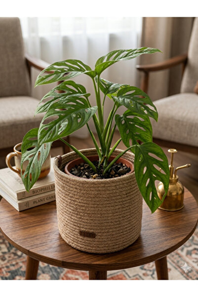 AZR HOME DESİGN سلة من الخوص متعددة الأغراض مصنوعة من حبل الجوت الطبيعي