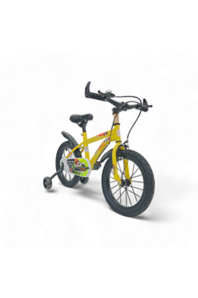 Rally 16 Inch Kids Bike/Children Bicycle/Kids Bicycle