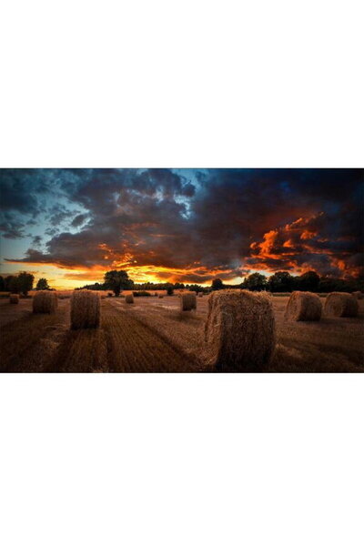 Samsung Display Profesional IPS LED 55" VM55B-U, Full HD (1920 x 1080), DVI, ...