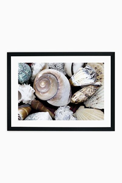 Raven Art Studio Shells Table + Frame