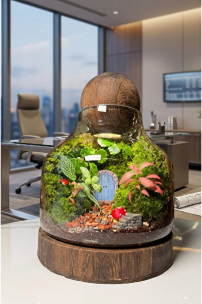 Generic حديقة نباتية مصغرة تُسمى "غابة الترامل"