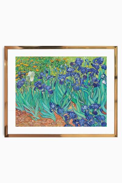 Raven Art Studio Vincent Van Gogh - Irises, 1889 Painting + Frame