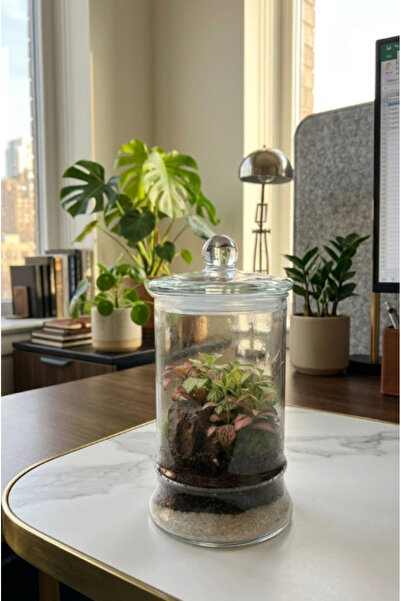 Generic Emerald Haven Terrarium