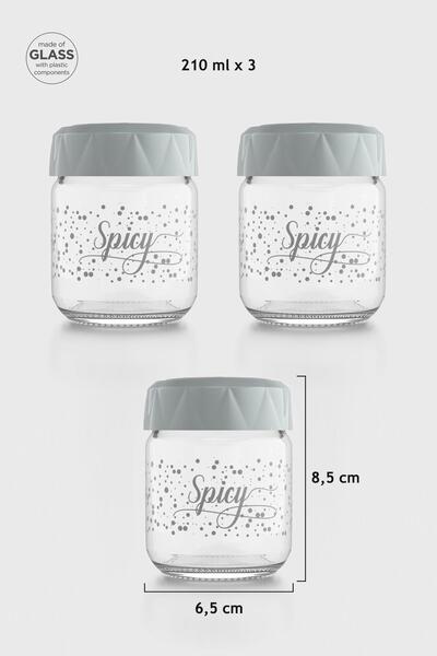 Renga Lexa Spicy Patterned 210 ml 3-Piece Glass Spice Jar Set 162011 Gray