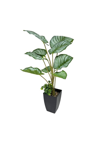 AFO Τεχνητό Φυτό Μαράντα Ορμπιφόλια 60 εκ.