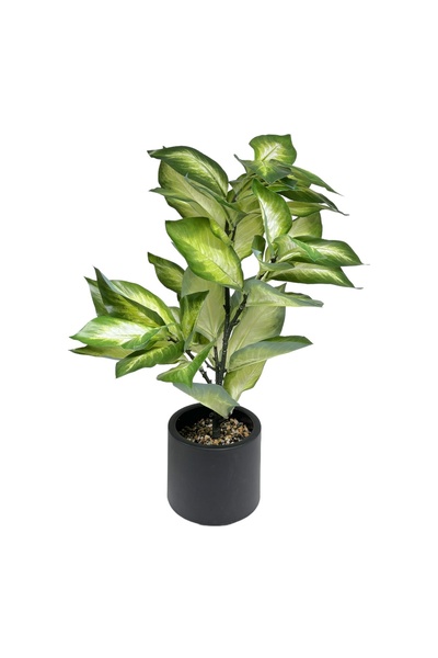 AFO Τεχνητό Φυτό Ντιφενμπάχια 70 εκ.