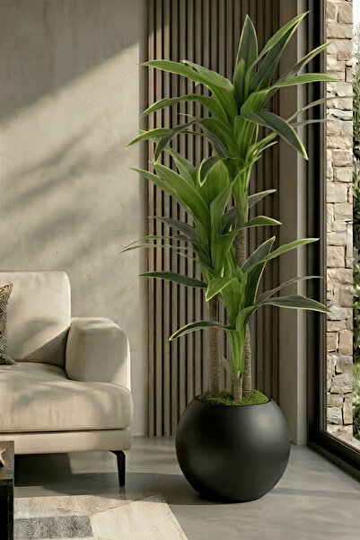 Armada Flora Yapay Yucca (Yuka) Ağacı 170 cm - 3 Gövdeli & 30x30 Küre Saksı