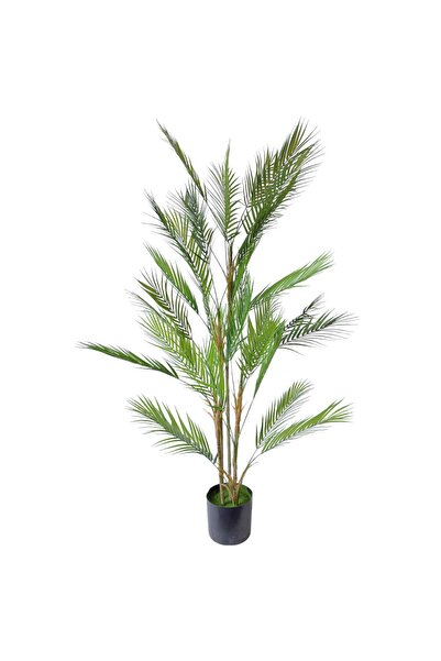 AFO Κορυφαίας ποιότητας τεχνητό φυτό Κόστα Ρίκα με 5 κοτσάνια 150 εκ.