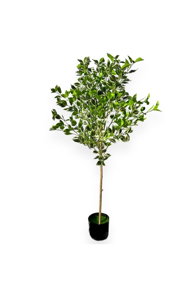 AFO Κορυφαίας ποιότητας Τεχνητό Φυτό Φίκου 120 εκ.