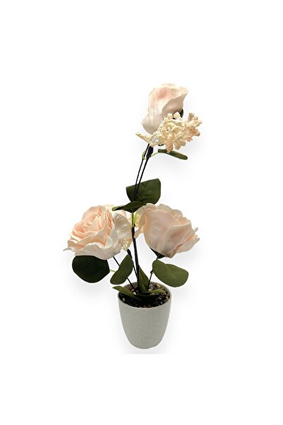 AFO 3-Wire Foam Rose Pot - Cream