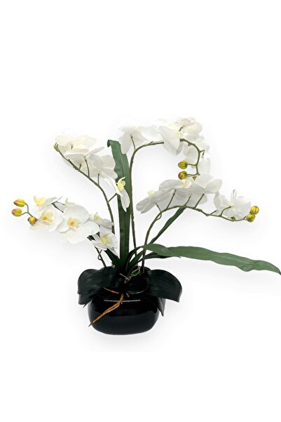 AFO Μαύρη γλάστρα με 4 λευκά κοτσάνια ορχιδέας