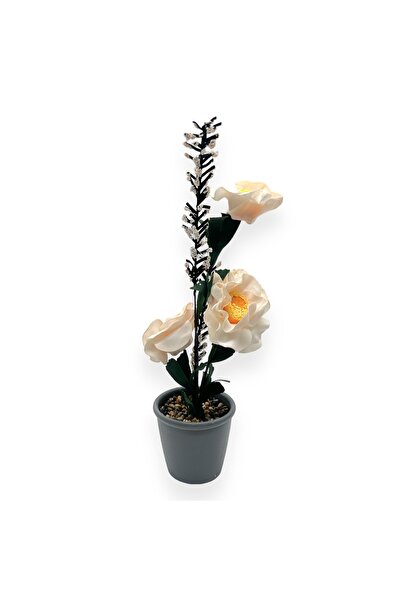 AFO 3-Wire Foam Anemone Pot - Cream