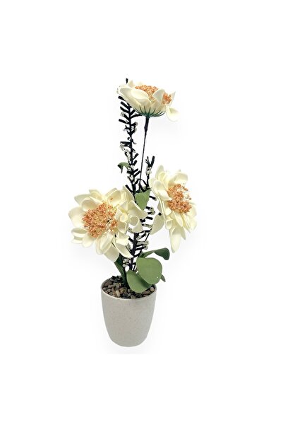 AFO 3-Wire Dahlia Foam Pot - Cream