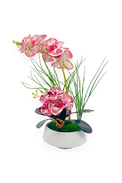 AFO Γλάστρα με 2 τεχνητές ορχιδέες και χόρτο σε γλάστρα - Λευκό Γκρένα