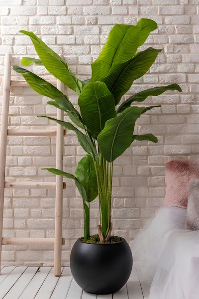 Armada Flora Yapay Muz Ağacı 180-190 Cm 30x30 Küre Saksı