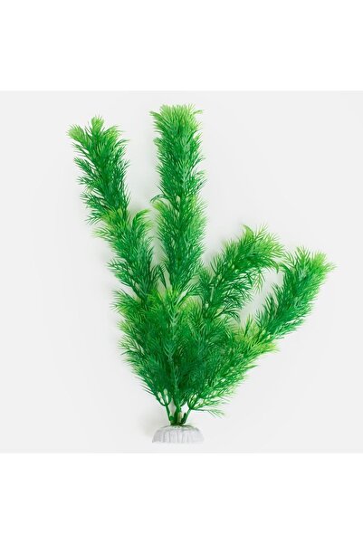 ZanaCasei Plantă decorativă verde pentru acvariu 30cm