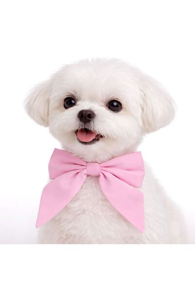 ZanaCasei Ροζ φιόγκος για κολάρο σκύλου 14x14εκ.