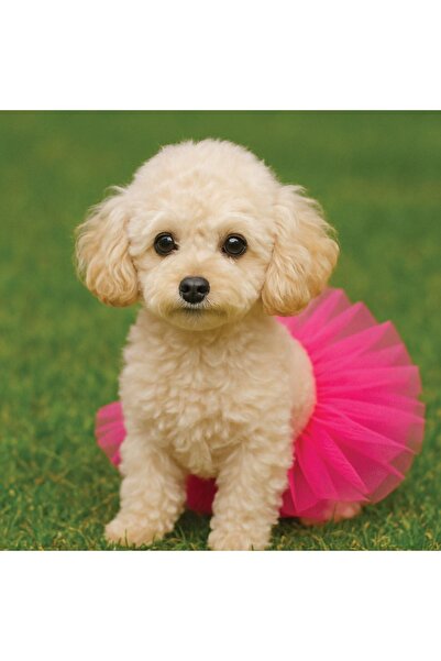 ZanaCasei Φούστα Τούτου σε Φούξια για Σκύλους - Ένα Μέγεθος