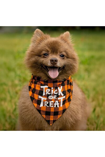ZanaCasei Πορτοκαλί καρό Καρό για σκύλους για το Halloween "Trick or Treat" -...