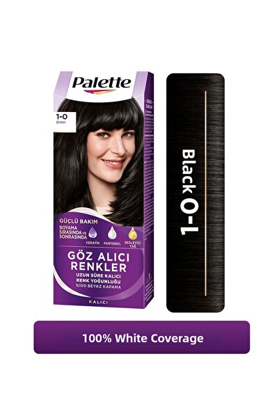 Palette الوان براقة 1-0 اسود