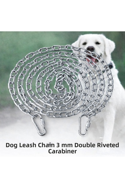 Vi Caro 17 Meters Dog Tie-Out Chain 3 mm Leash + 2 Screwed Carabiners Steel D...