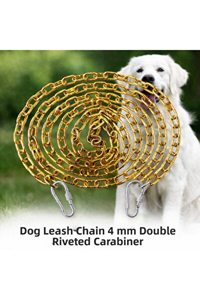 Vi Caro 6 Meters Sari Dog Tie Chain 4 mm Leash with 2 Screw Carabiners Steel ...