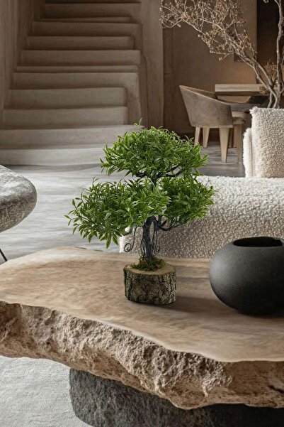 TRENDYOLMİLLA HOME ديكور شجرة صناعية بقاعدة من الخشب الطبيعي 25 سم TPHSS26YCK...