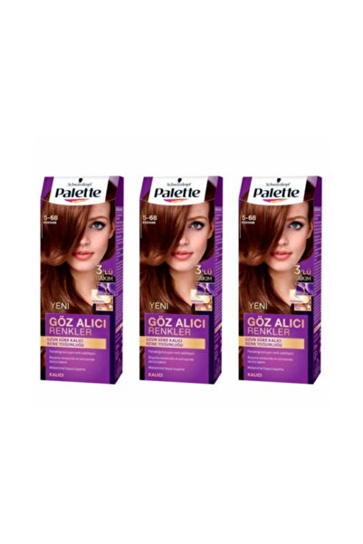 Palette Göz Alıcı Renkler Saç Boyası 5-68 Kestane 3 Paket