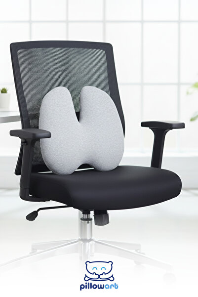 PİLLOWART Ortopedik Bel Minderi Visco Sırt Minderi Ofis, Ev, Araç Bel Destek ...