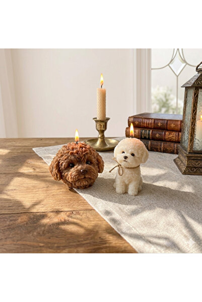M&C Concept 2'li Köpek Mum - Krem-kahve