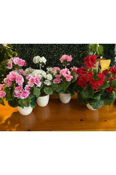 ASÇ YAPAY ÇİÇEK Porselen Saksıda Sardunya Kırmızı