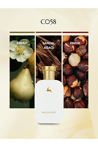 MUSCENT C058 Guidans 50 ml.