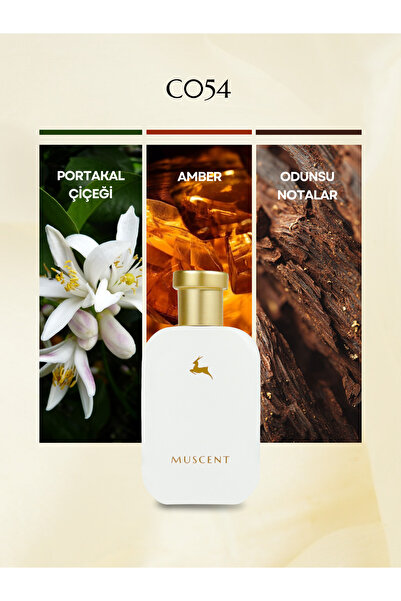 MUSCENT C054 STimes 50 ml.