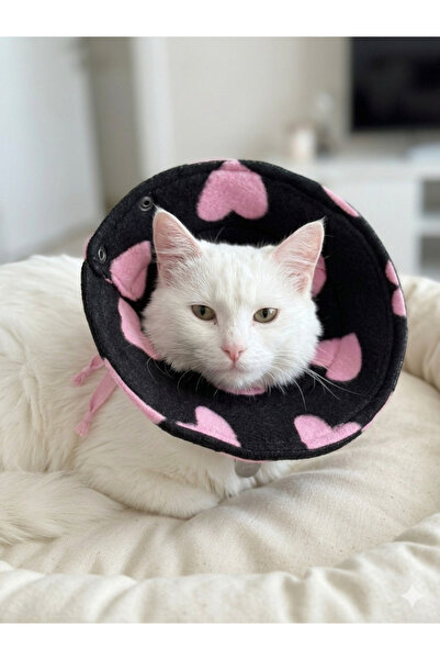 Winnie The Pet طوق إليزابيث الواقي اقرأ الوصف من فضلك