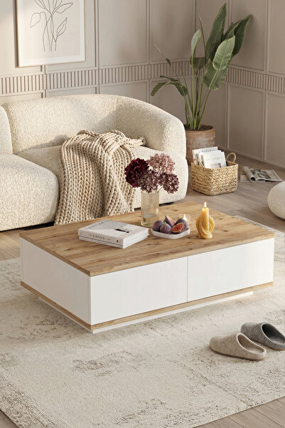 Yurudesign Future Orta Sehpa 2 Kapaklı Çam-beyaz Fr14-aw