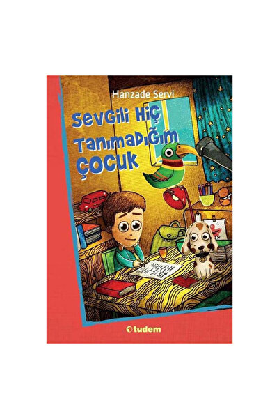 Tudem Yayınları عزيزي الطفل الذي لا أعرفه أبدًا هانزادة سيرفي توديم ياي