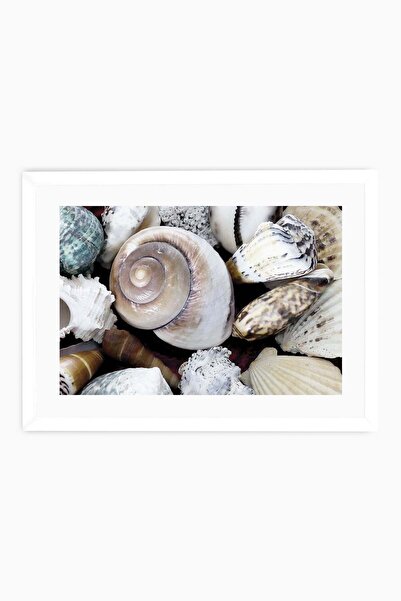 Raven Art Studio Shells Table + Frame