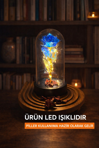 RELİEVO Sevgiliye Özel Hediye Fanus Içerisinde Dekoratif Led Işıklı Solmayan ...