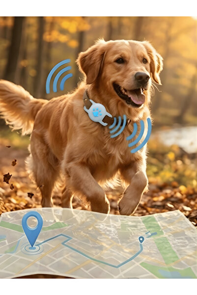 Gözcü Mobil Kedi Köpek Takip Cihazı Android IOS Uyumlu Pet Evcil Hayvan Tasma...