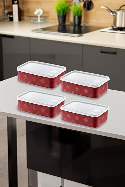 Smartware Set of 4 No Frost Storage Container Carmen 1600 ml
