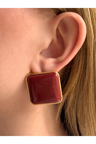 Charmist Steel Burgundy Roya Earrings