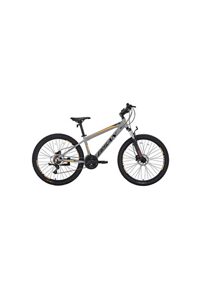 Bisan COOPER ERKEK DAĞ BİSİKLETİ 30 CM HD 24 JANT 21 VİTES METALİK GRİ SİYAH ...