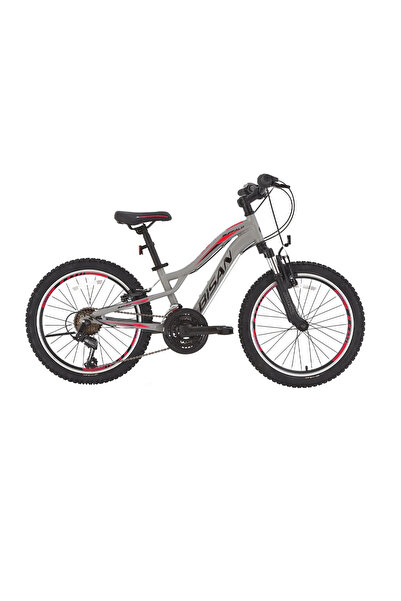 Bisan BUFFALO ERKEK DAĞ BİSİKLETİ 30CM V 24 JANT 18 VİTES MATALİK GRİ SİYAH K...
